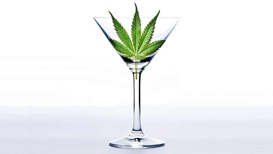Glass of Absinthe With a Cannabis Leaf