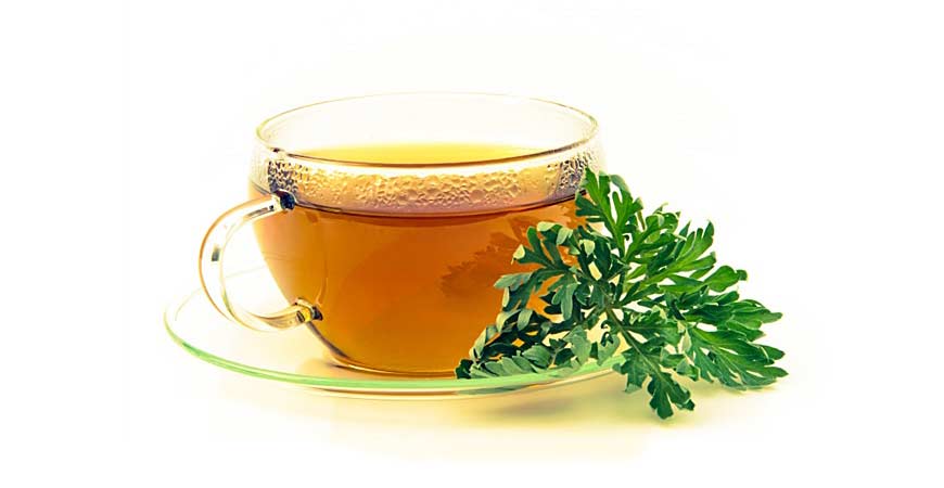 Cup of Wormwood Tea